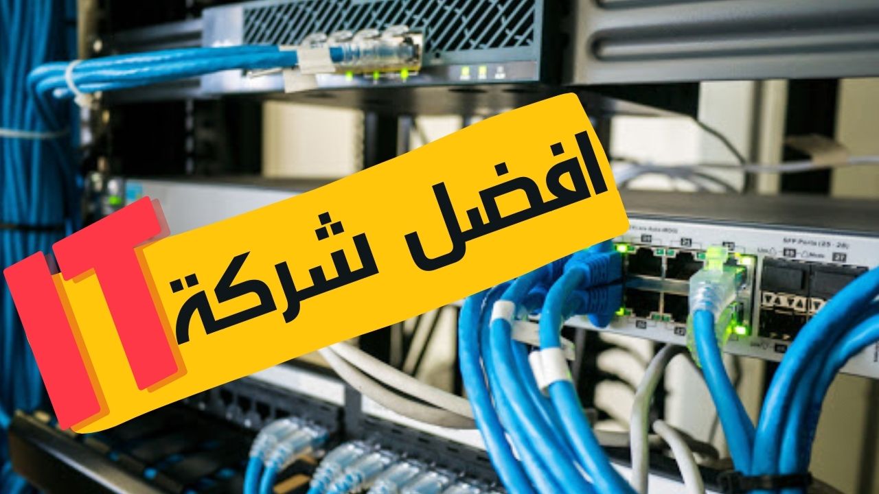 شركات it في مصر